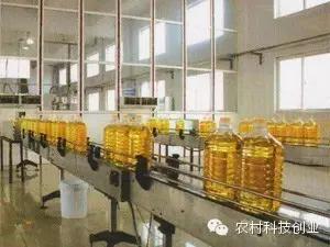 适合农村创业的小本点子,12个适合农村创业的小本项目