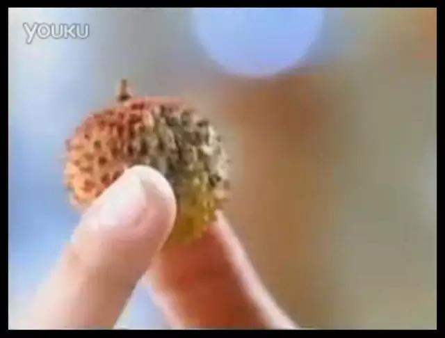 你长这么大，吃过的药还少吗？