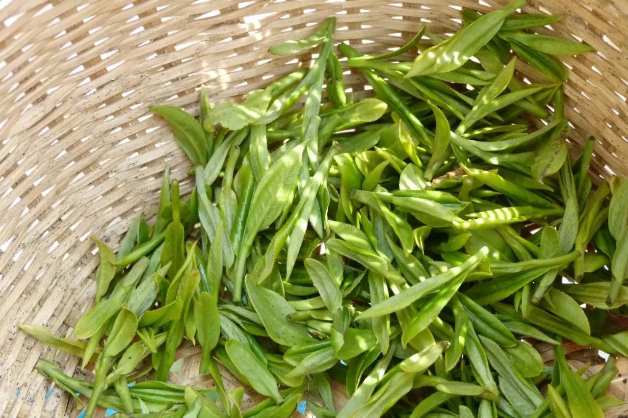 杭州茶园民宿酒店推荐,清明假期酒店推荐