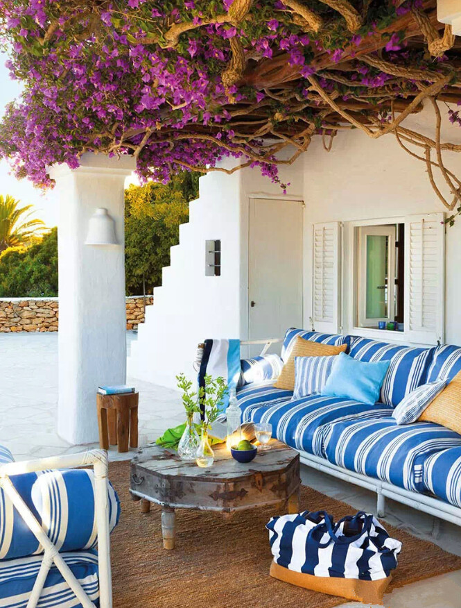 家里养的哪种花最好养最好看,春天什么花最好养又好看