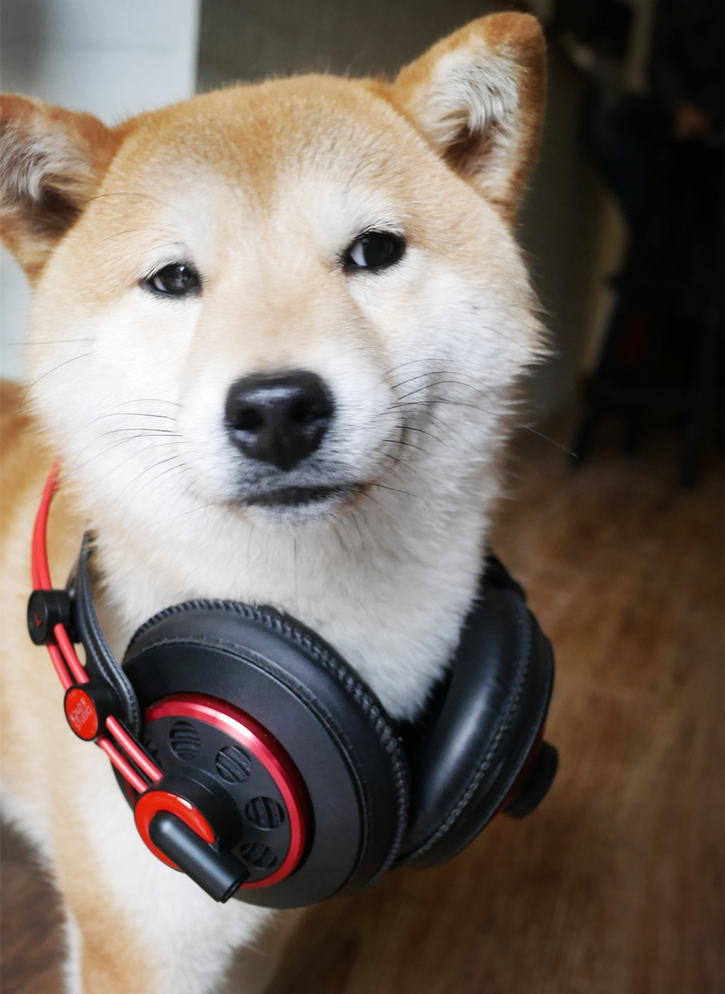 AKGK240R——经典可以延续的~