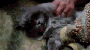 糖尿病人胃轻瘫食物消化慢怎么办,糖尿病胃轻瘫症状与胃癌的区别