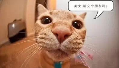 千万别惹南昌的姑娘，不信你看看...