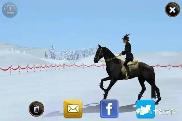 自己养一匹马,能在手机上养宠物的软件