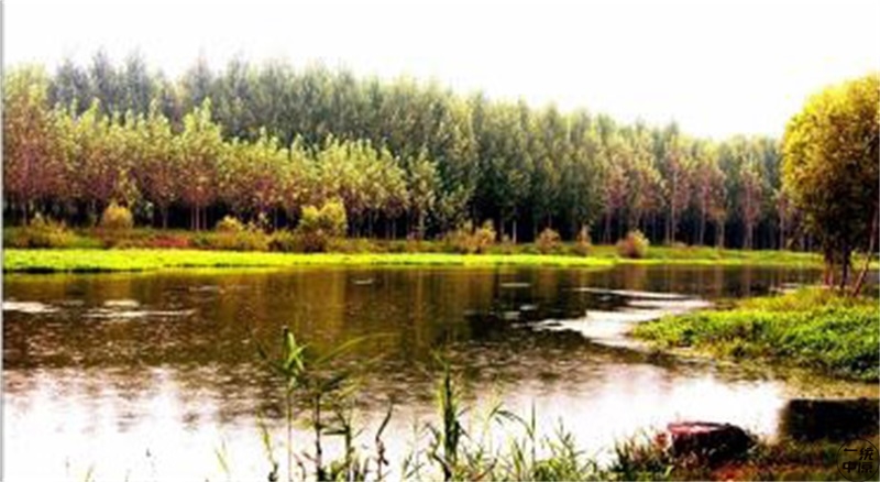 这些字儿都不认识,你是河南人吗?