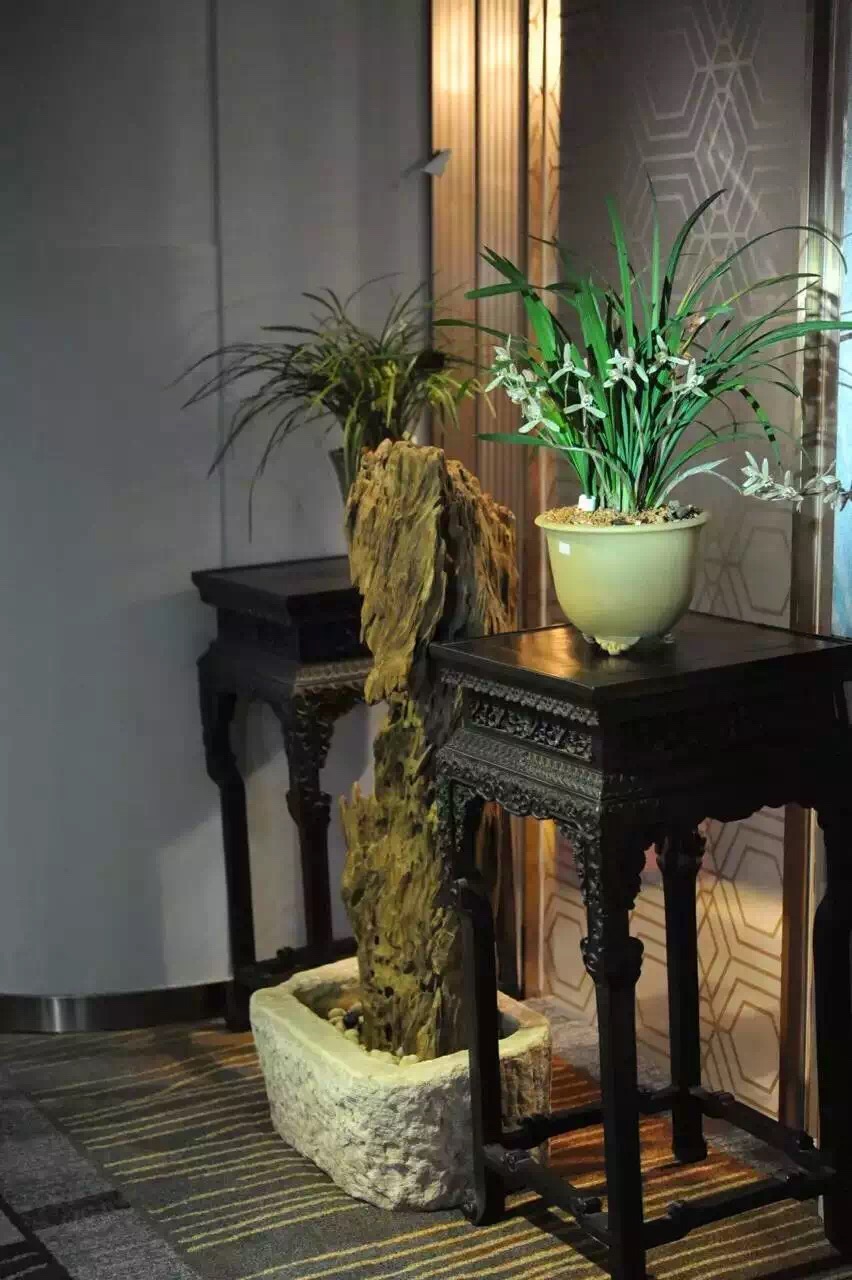 迎春时节兰花开,春天正是兰花盛开时节