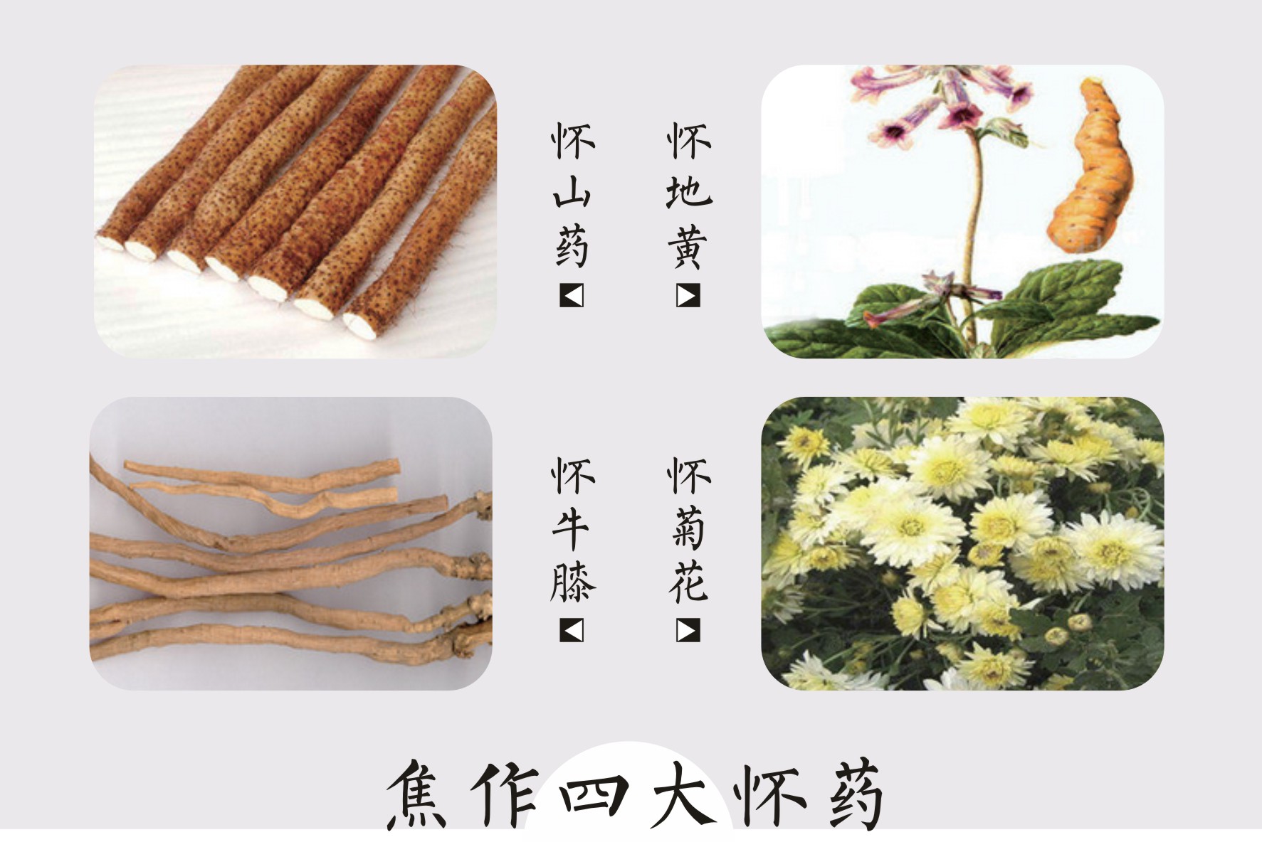 河南各市美食pk,河南各地美食推荐来呀