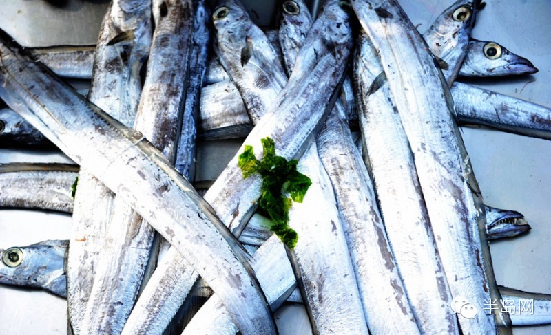 那些不认识的海鲜小干货,超级干货2022