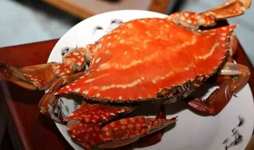 那些不认识的海鲜小干货,超级干货2022