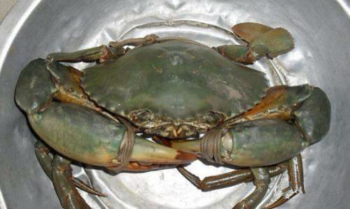 那些不认识的海鲜小干货,超级干货2022