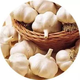 远离妇科病的食物,有益女性健康的八类怪味食物