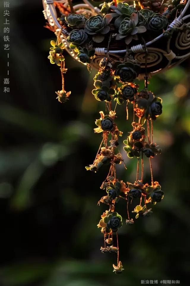 春田花花好物分享,春田花花创作的原创