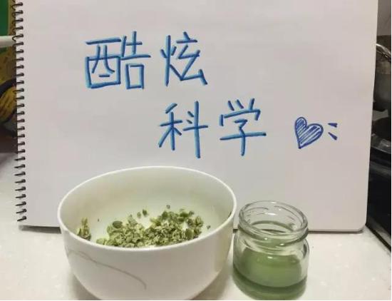 将南瓜子稍加“调教”不可思议的一幕发生了!