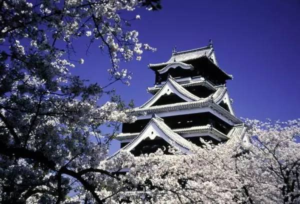 熊本地震最新消息,熊本地震