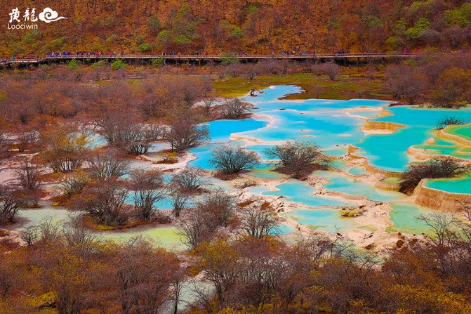 鍛宠暰娴佽繛蹇樿繑,鍛宠暰鐣欐亱