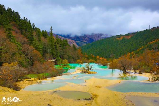 鍛宠暰娴佽繛蹇樿繑,鍛宠暰鐣欐亱
