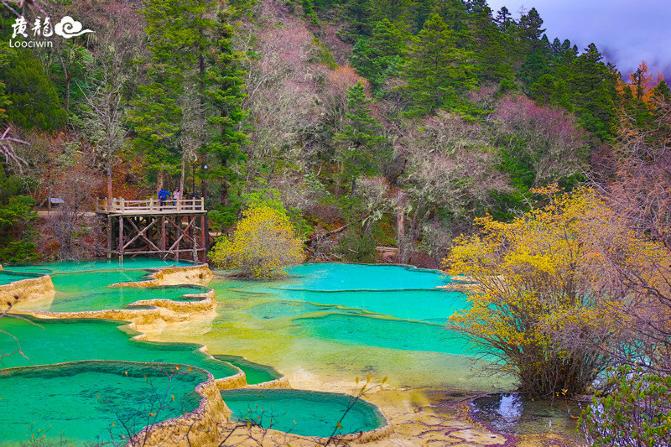 鍛宠暰娴佽繛蹇樿繑,鍛宠暰鐣欐亱