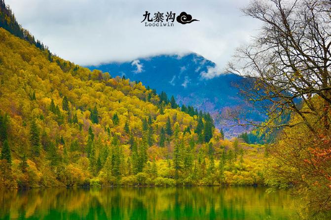 鍛宠暰娴佽繛蹇樿繑,鍛宠暰鐣欐亱