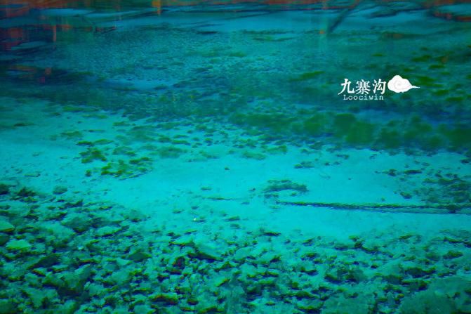 鍛宠暰娴佽繛蹇樿繑,鍛宠暰鐣欐亱