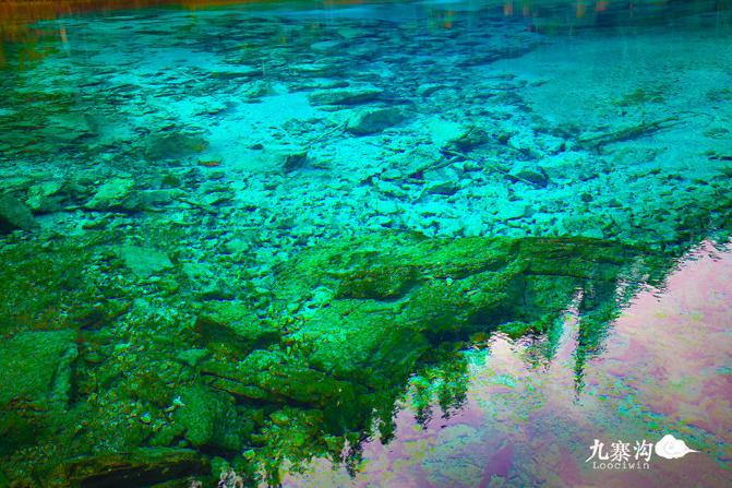 鍛宠暰娴佽繛蹇樿繑,鍛宠暰鐣欐亱