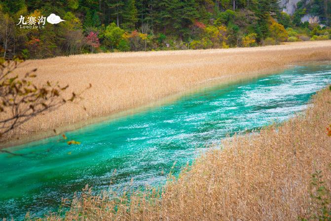 鍛宠暰娴佽繛蹇樿繑,鍛宠暰鐣欐亱