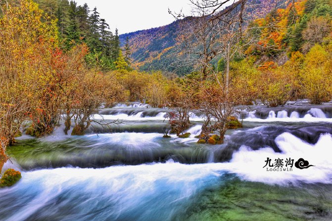 鍛宠暰娴佽繛蹇樿繑,鍛宠暰鐣欐亱