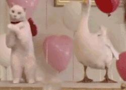 如何在大学期间长高5cm?