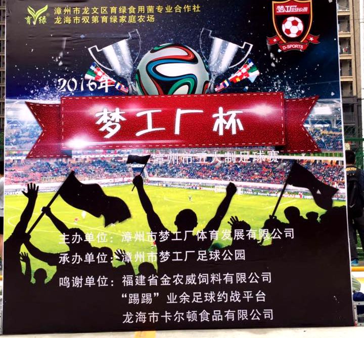 以梦为马激情朗诵,以梦为马诗酒趁年华