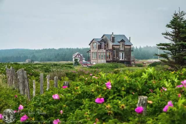 情迷魁北克灯塔|海岸线上的灵魂