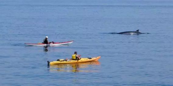 情迷魁北克灯塔|海岸线上的灵魂