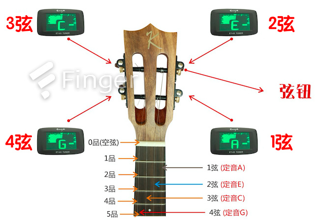 尤克里里讲堂,尤克里里公开课教案