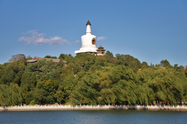 28岁北京姑娘征婚,北京中老年征婚交友50岁左右