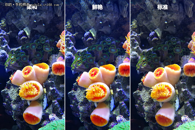 华为p9拍照测评,华为p9双镜头发展史