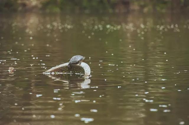 他在这里盖房子时,日本人还没学会唐风