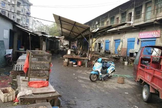 铜陵这里怎么会有金色的河流，惊呆了！