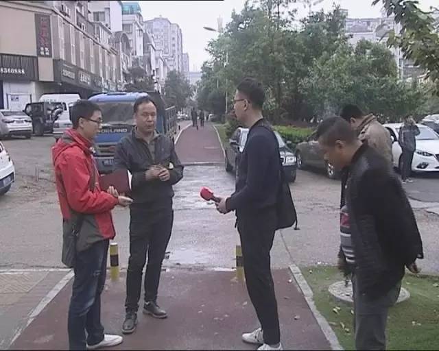 市长热线核查办理简要情况,市长热线处理意见怎么查询