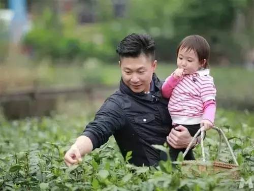 杭州茶园民宿酒店推荐,清明假期酒店推荐