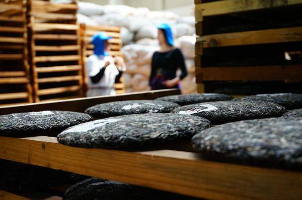 普洱茶熟茶制作流程图,做普洱茶如何入门