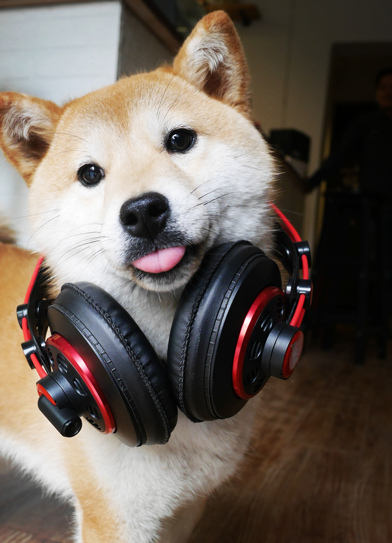 AKGK240R——经典可以延续的~