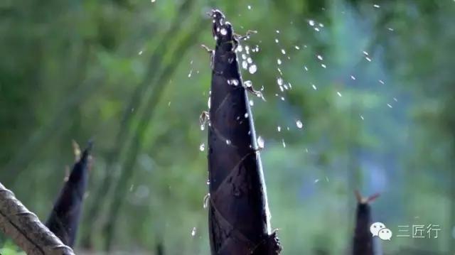 腌笃鲜春天的灵魂,腌笃鲜肯定好吃而且都是纯天然