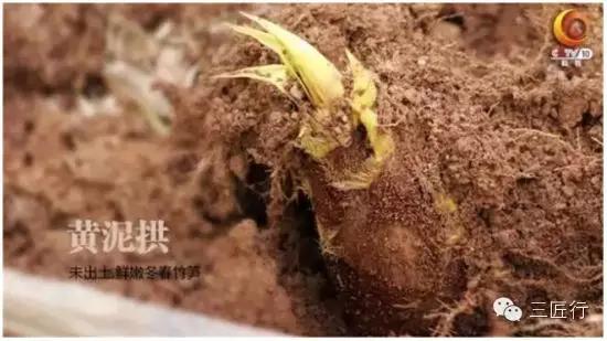 腌笃鲜春天的灵魂,腌笃鲜肯定好吃而且都是纯天然