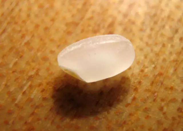 人均2元居然还能好吃到炸，南京这家小店你咋不上天呢！