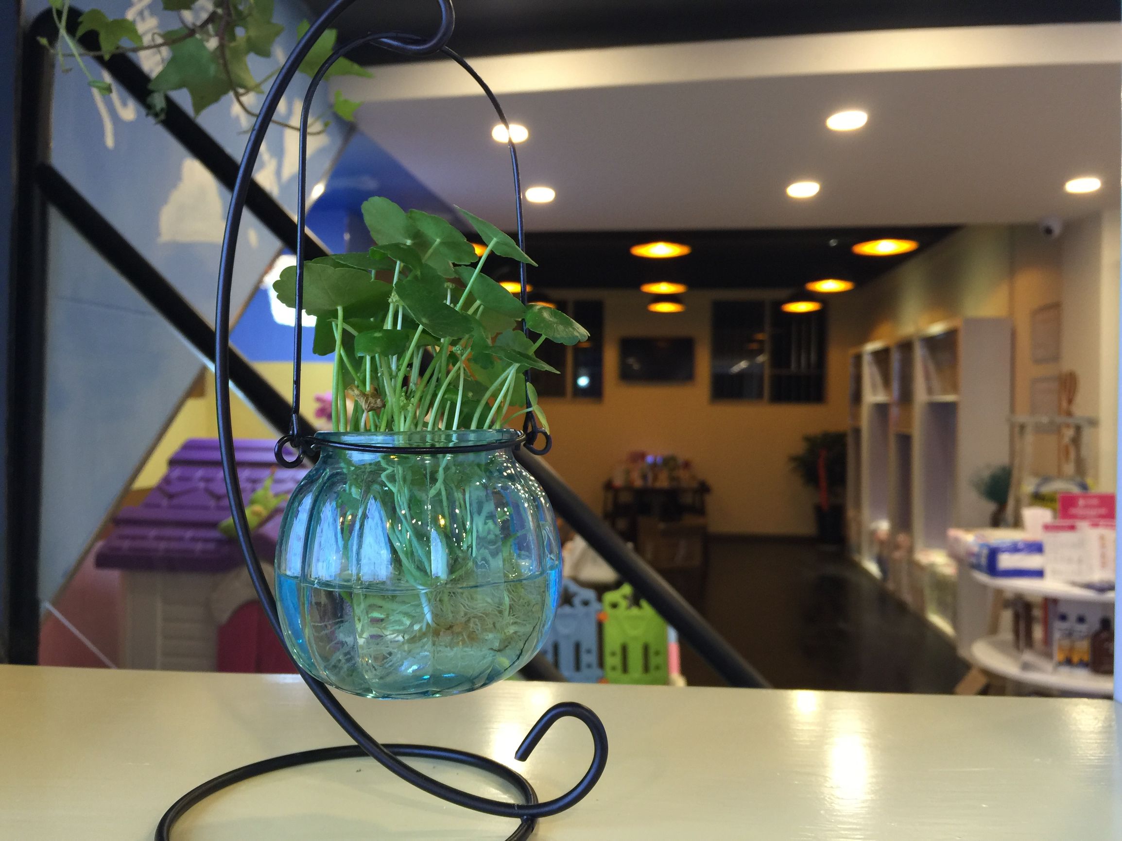 悦海购电话,悦海购六州首府店