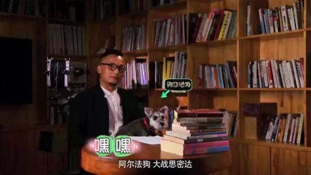 杜杜C型震动器真人教学视频（3）