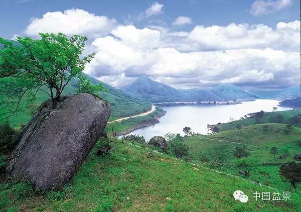 文人树盆景美不胜收,中国神奇的十大盆景