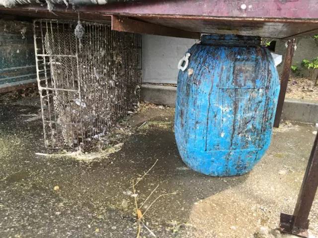 回龙观文华市场活鸡,回龙观活鸡哪里有卖