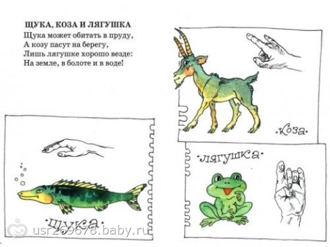 各个国家手指操,全套手指操