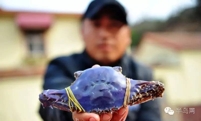 那些不认识的海鲜小干货,超级干货2022