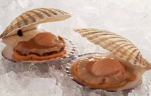 那些不认识的海鲜小干货,超级干货2022