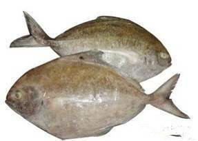 那些不认识的海鲜小干货,超级干货2022